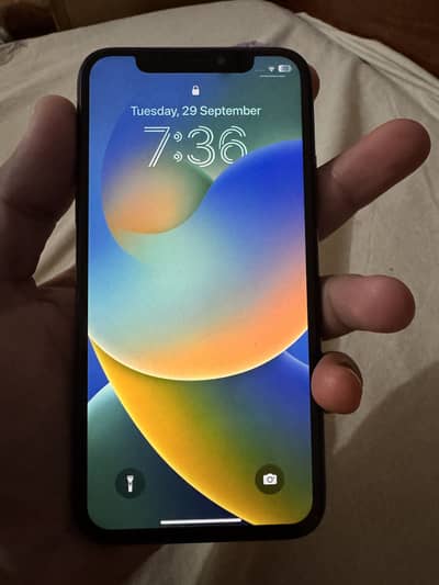 Apple iPhone X