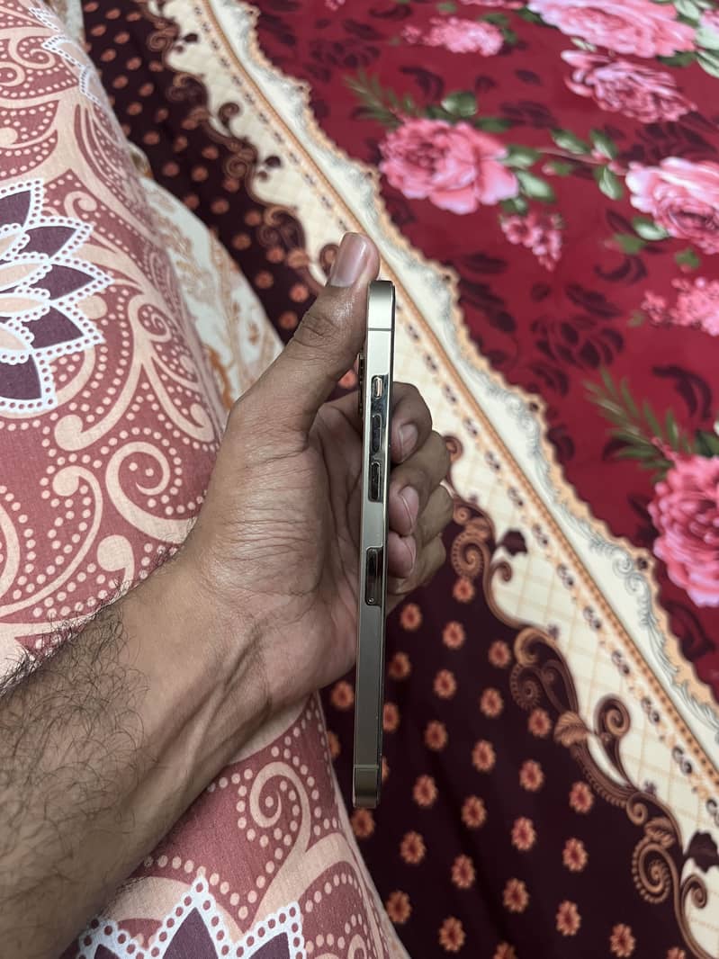 Apple iPhone 12 Pro Max 0