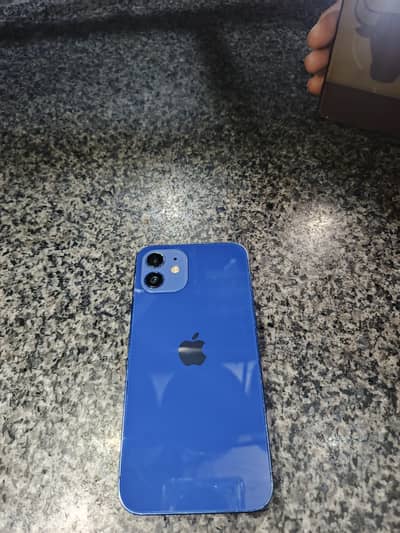 i phone 12