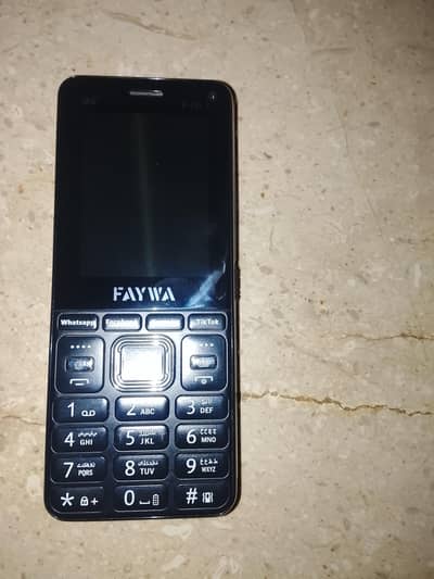 Faywa Pro 1