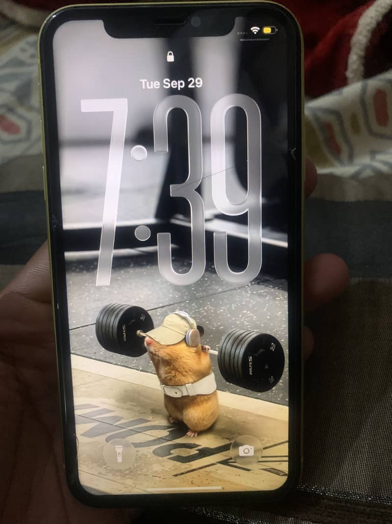 Iphone 11 mdm 4