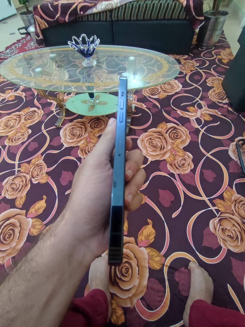 Apple iPhone 12 Pro Max 4