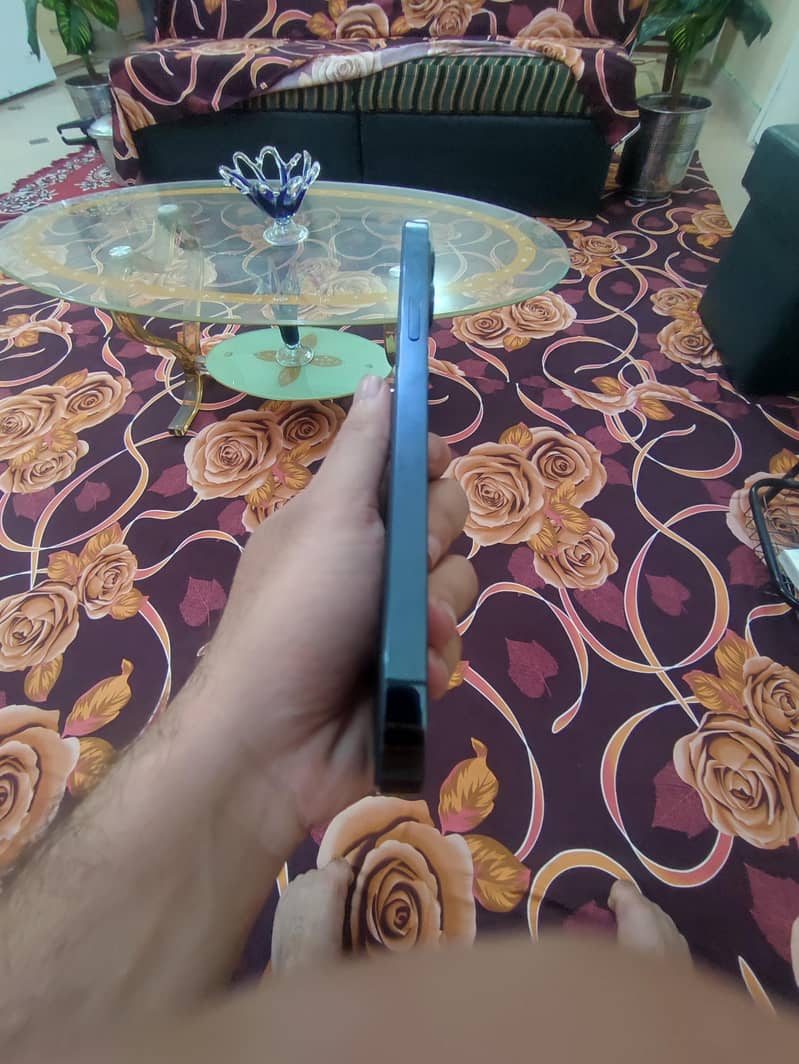Apple iPhone 12 Pro Max 6