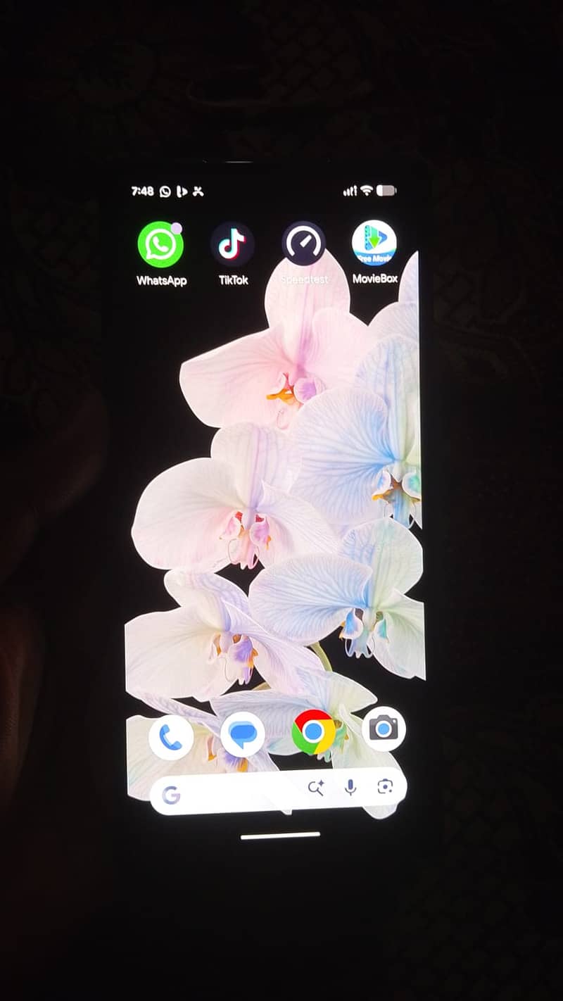 Google Pixel 6 2