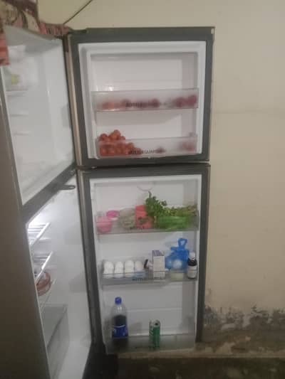 Hair double door refrigerator excellent condition