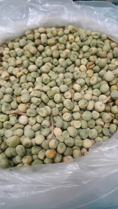 Matri Seed Peas Seed for Sale