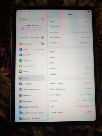 I Pad Pro M2 11 inch 256 GB