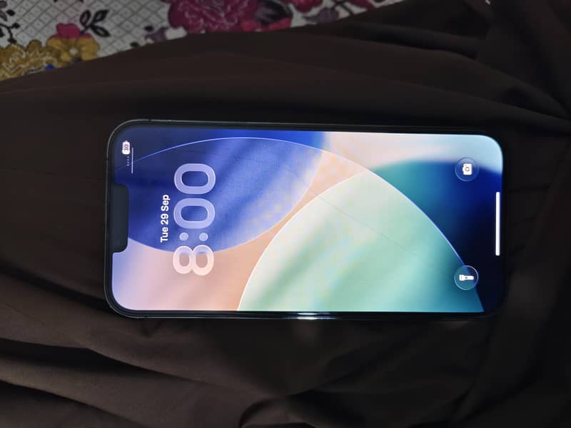 Apple iPhone 13 Pro Max 6