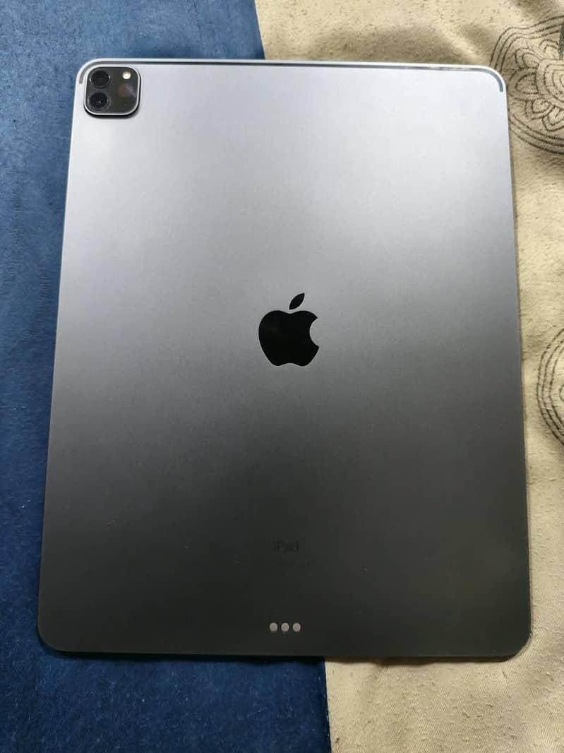 Apple iPad pro 0