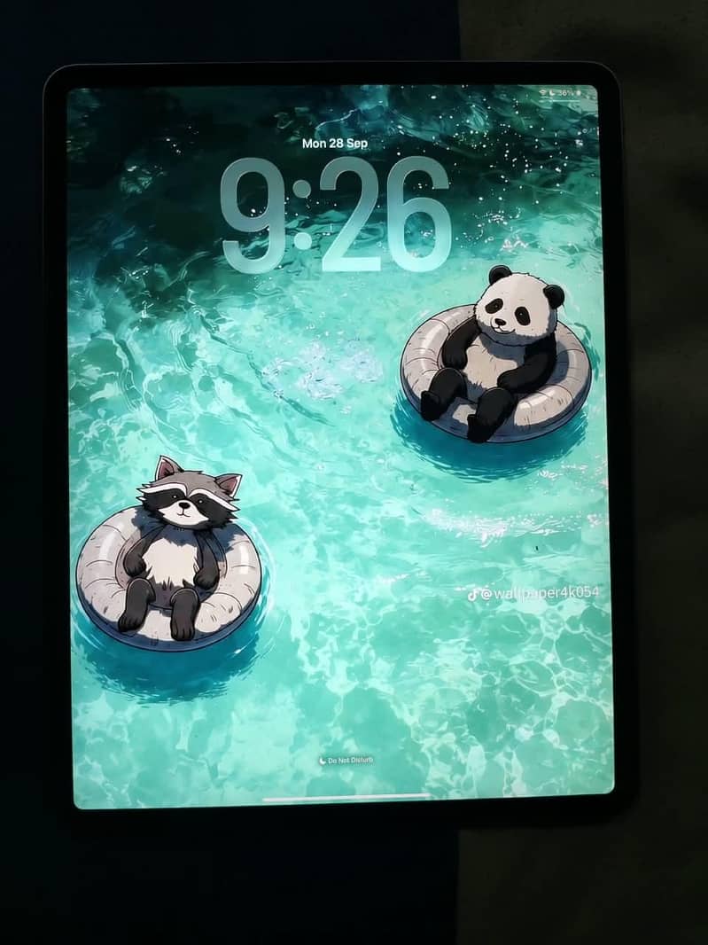 Apple iPad pro 4
