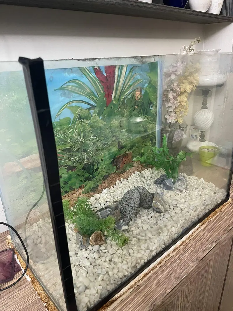 Aquarium mint condition — photo 2