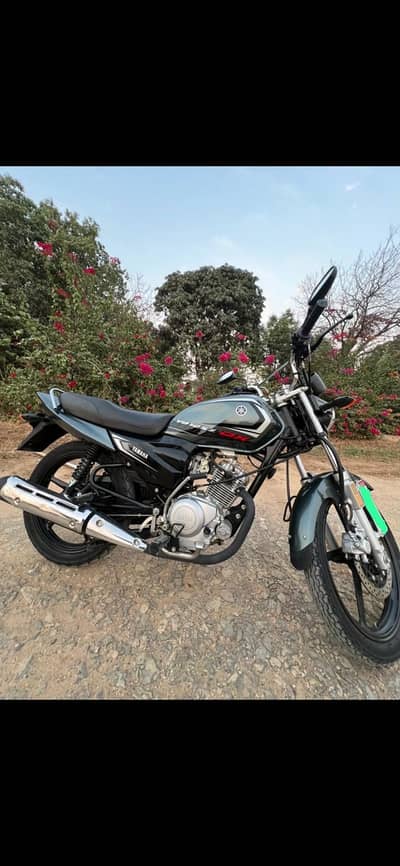 Yamaha YBZ-DX 2024