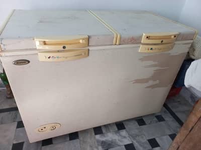 Full Size Freezer Views Company Seriously and Safely Double Door