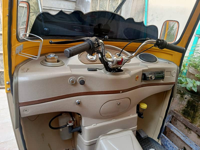 auto Rickshaws 2