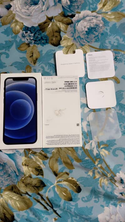 Apple iPhone 12