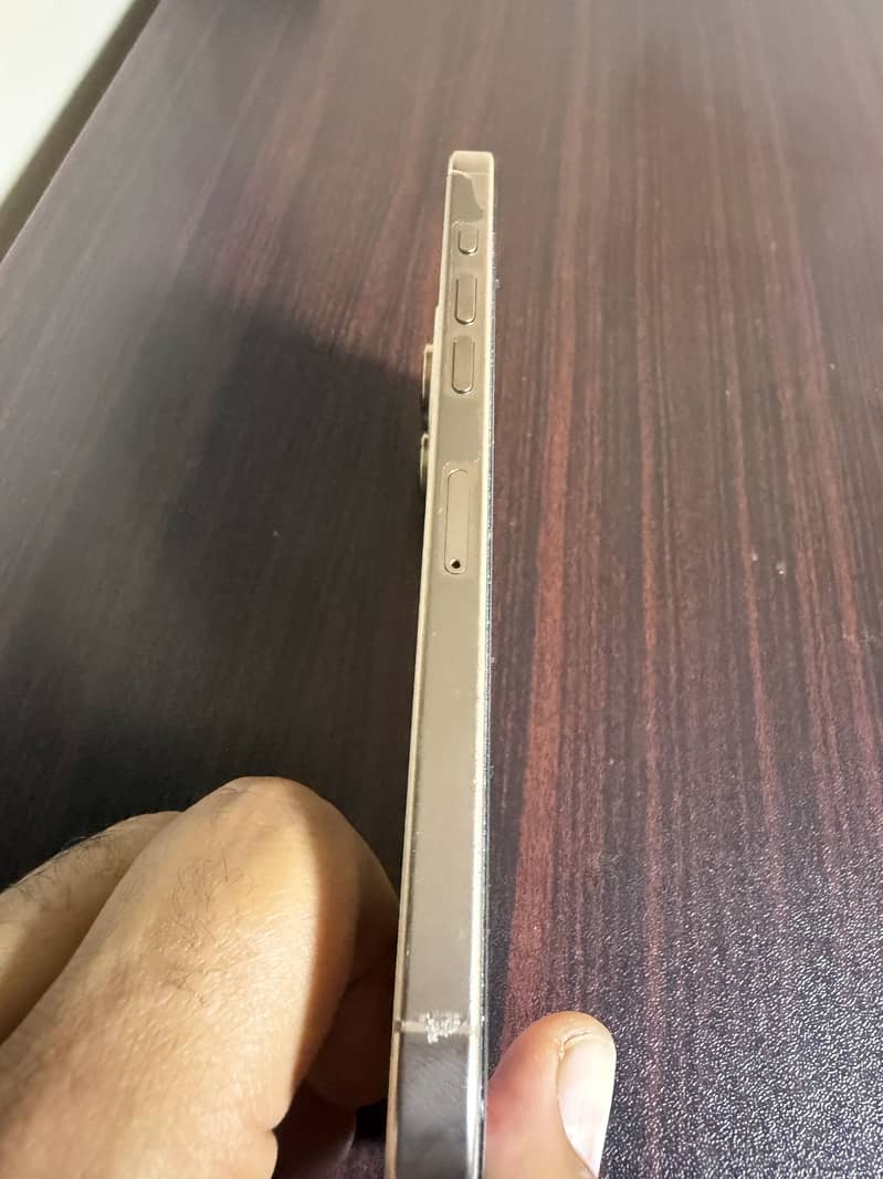 Apple iPhone 16 Pro Max 2