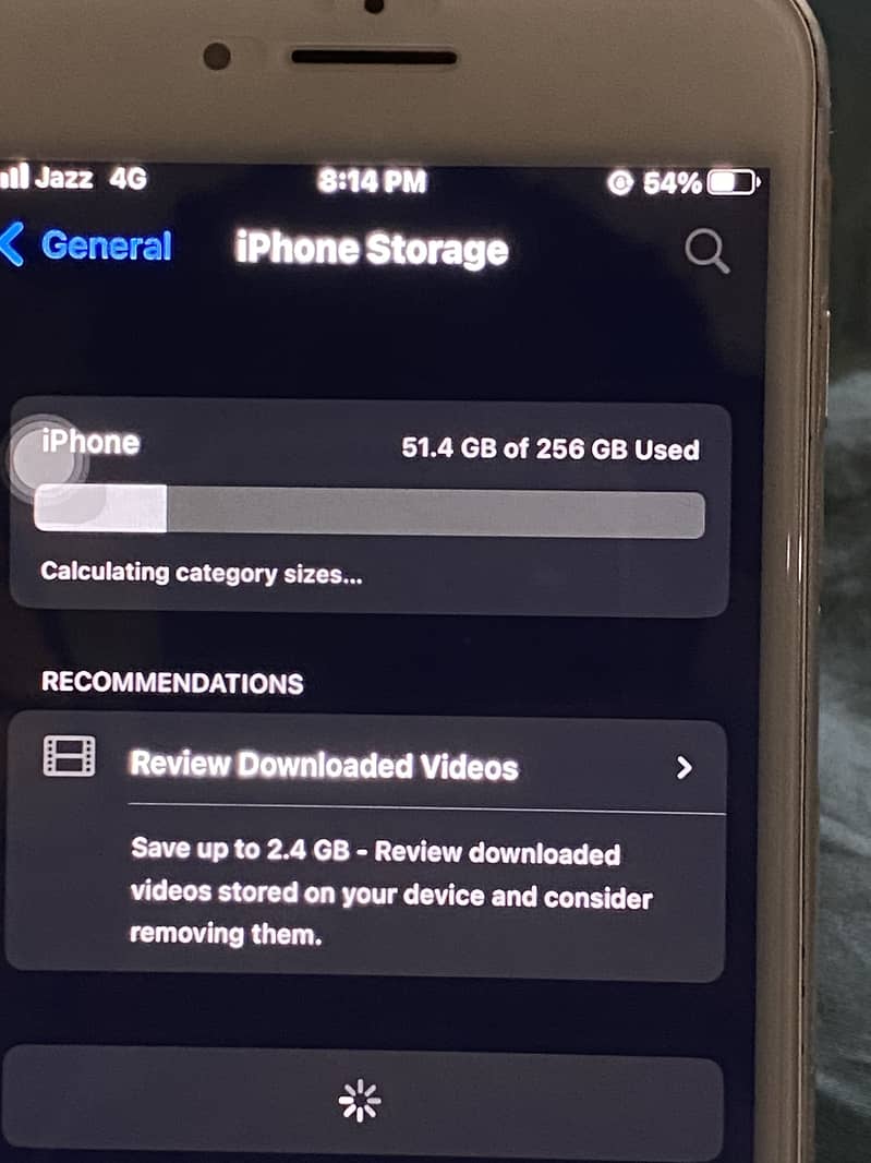 Apple iPhone 8 Plus 0