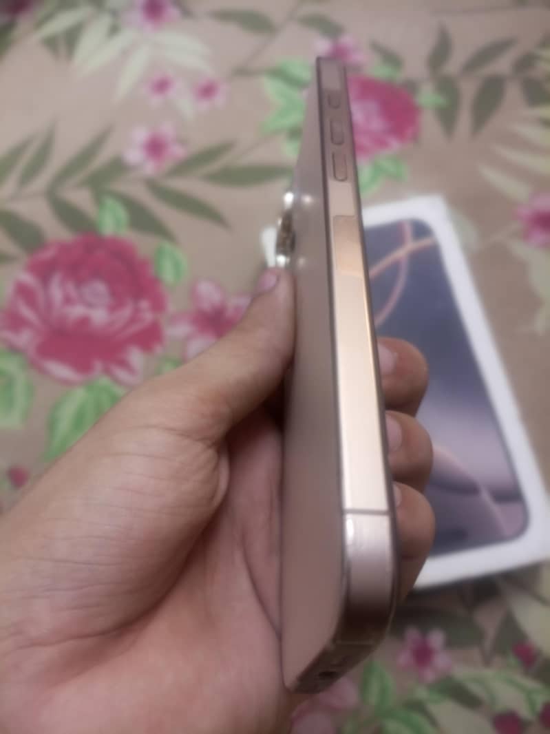 Apple iPhone 16 Pro Max 1