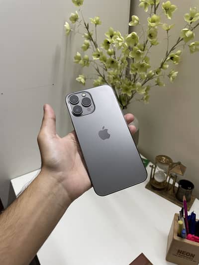 Apple iPhone 13 Pro Max