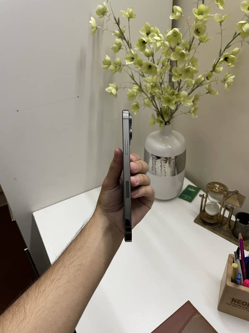 Apple iPhone 13 Pro Max 1