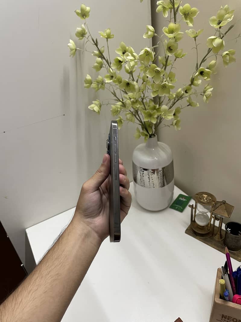 Apple iPhone 13 Pro Max 2