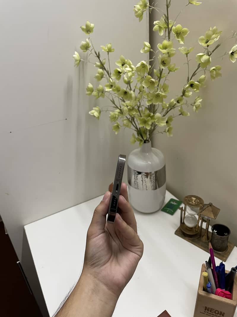 Apple iPhone 13 Pro Max 3