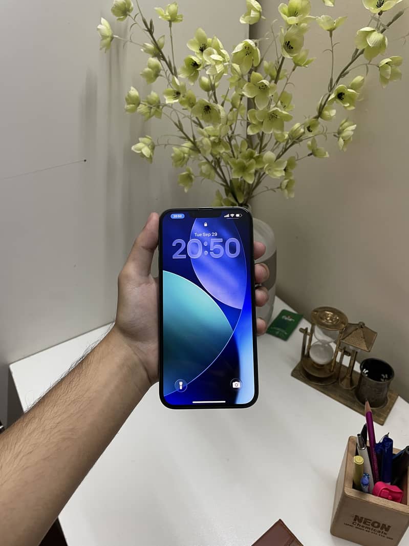 Apple iPhone 13 Pro Max 6