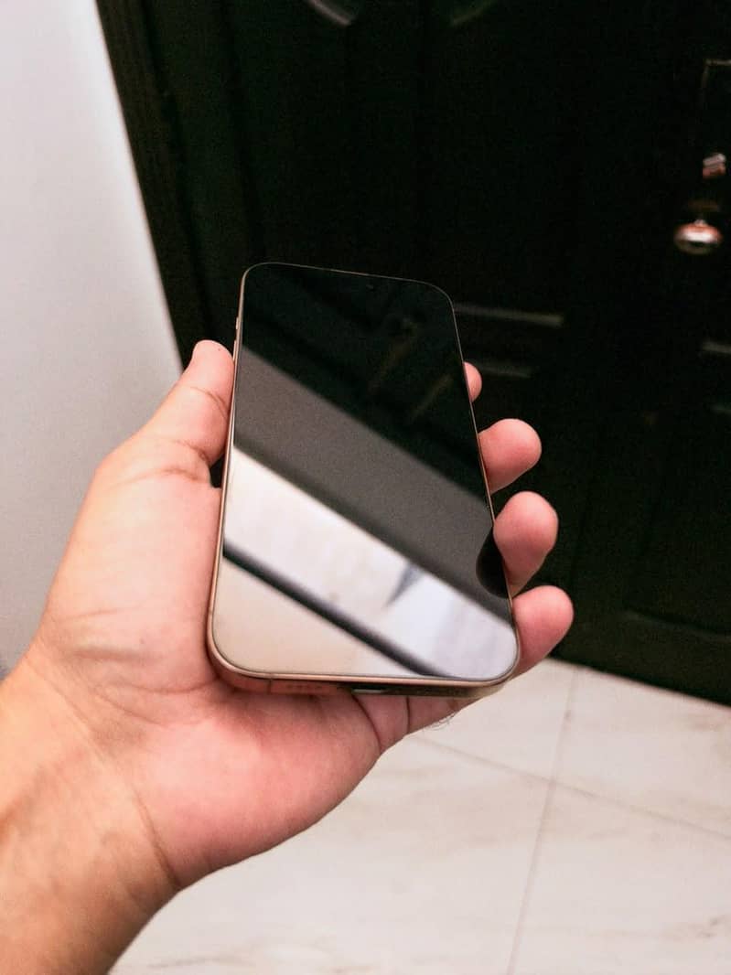 Apple iPhone 16 Pro Max 1