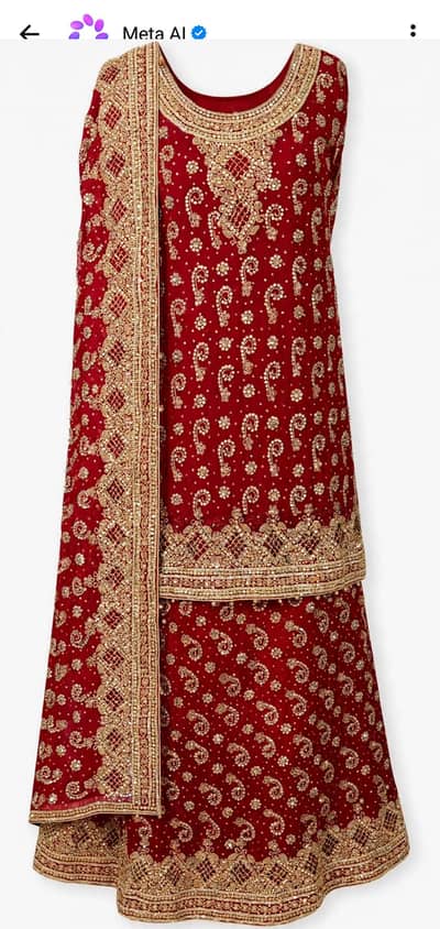 red bridal sharers with heavy gold Zari work _worn once only