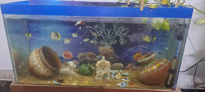 Fish  Aquarium Tank plus fish accesories