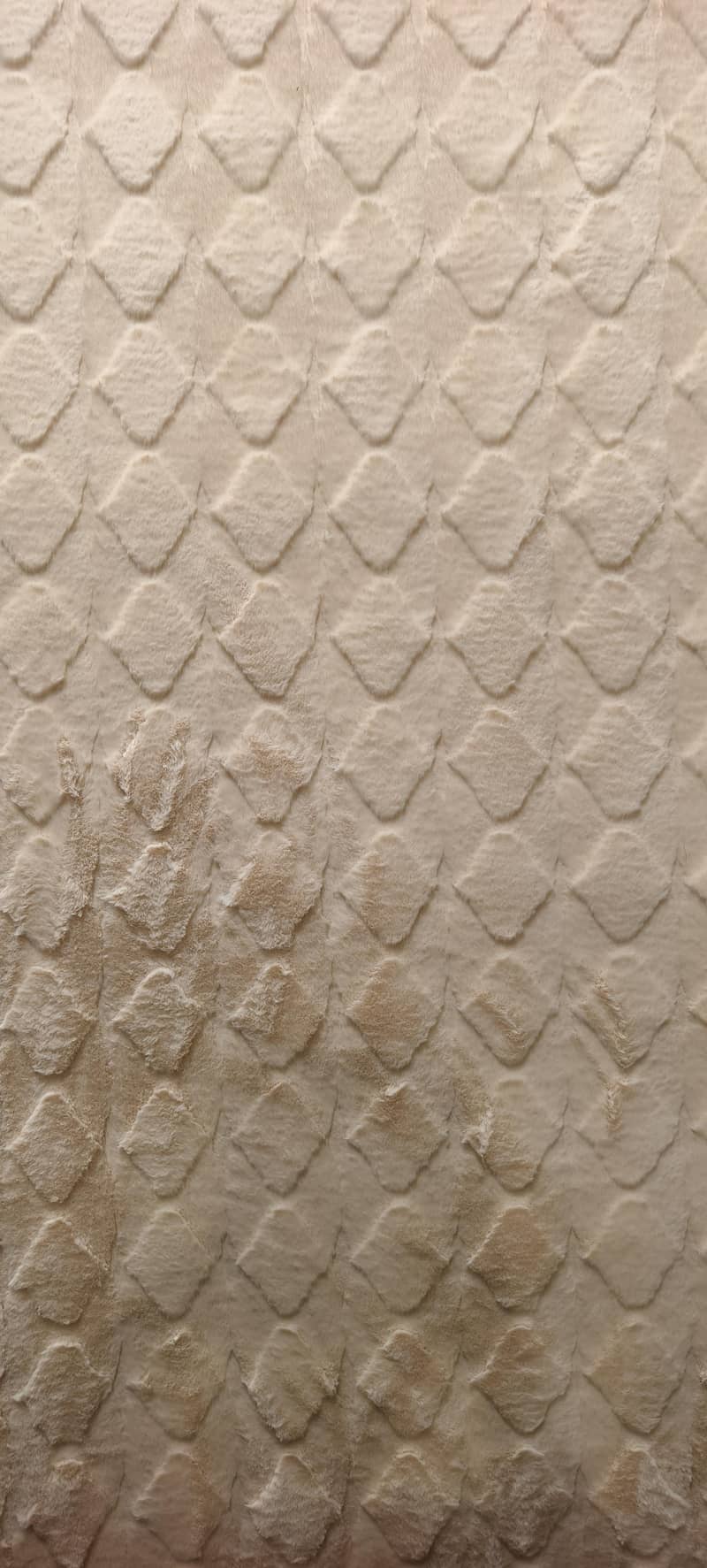 Rabbit wool 1