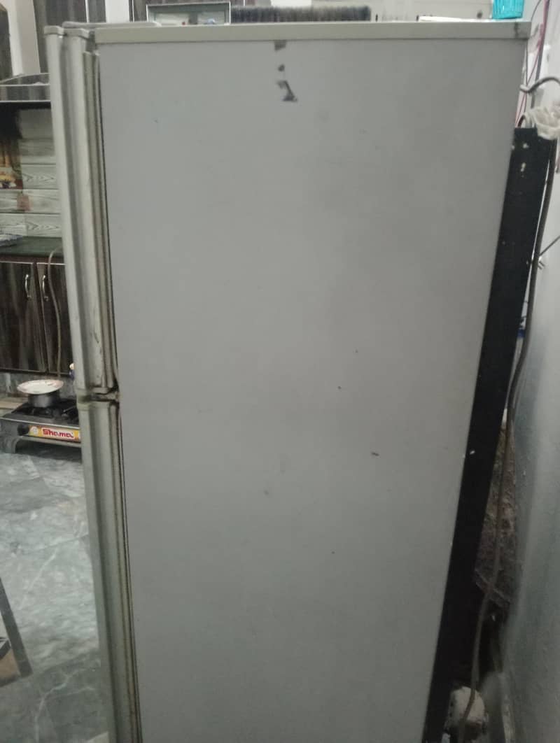 medium size 3