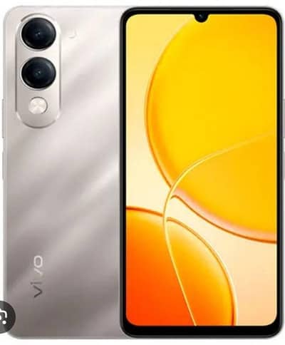 Vivo y 04