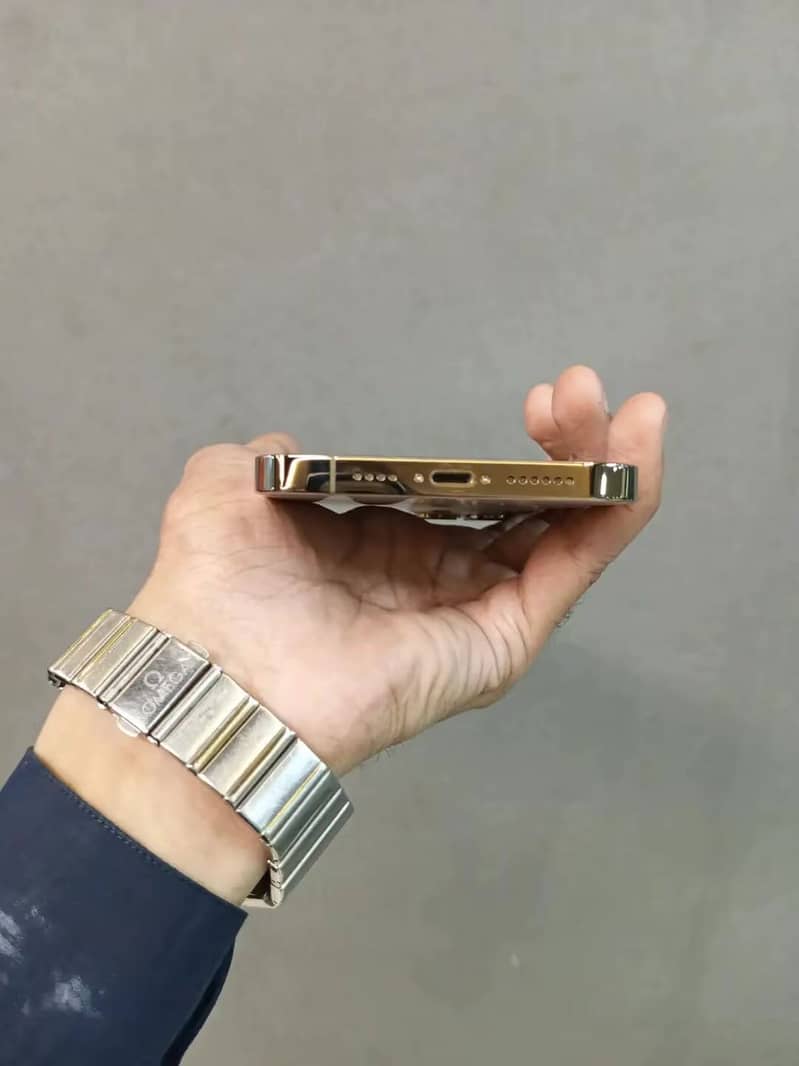 Apple iPhone 13 Pro Max 0