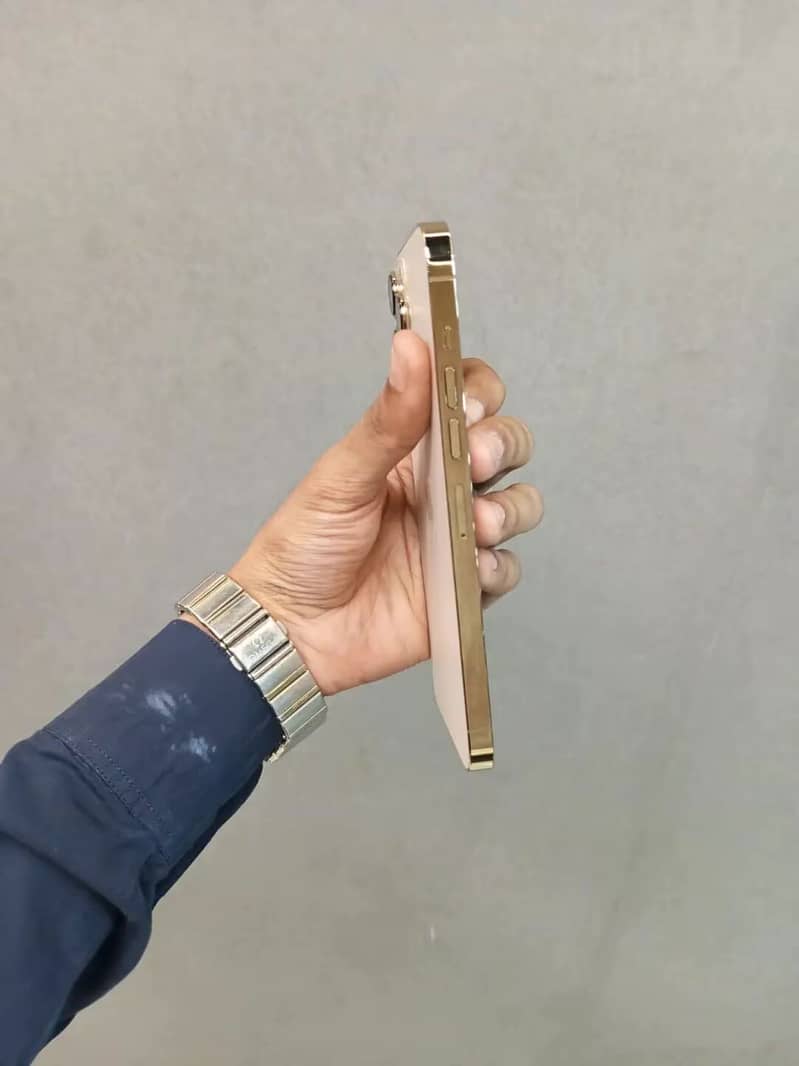 Apple iPhone 13 Pro Max 1