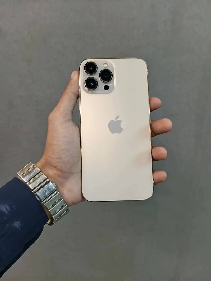 Apple iPhone 13 Pro Max 2