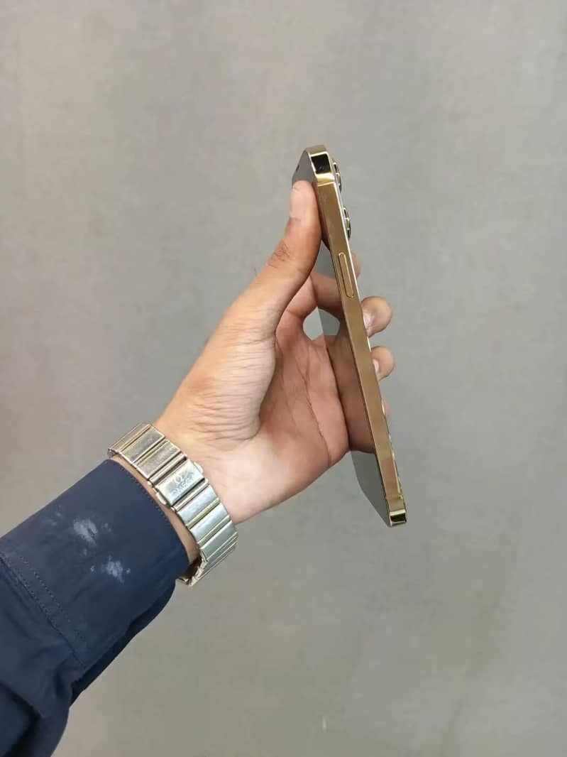 Apple iPhone 13 Pro Max 3