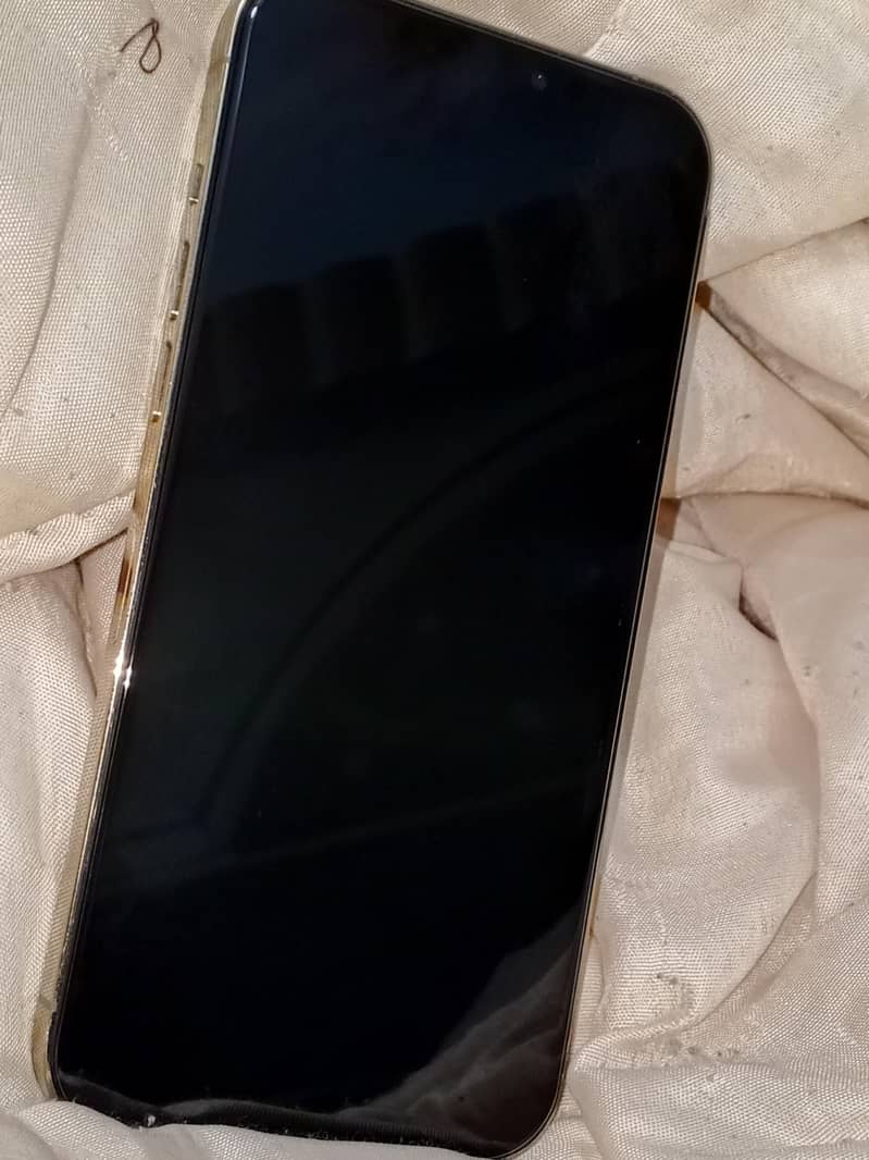 Apple iPhone 12 Pro Max 2