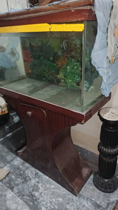 Aquarium All ok