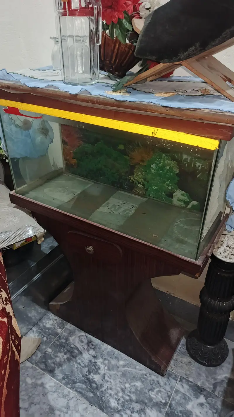 Aquarium All ok — photo 2