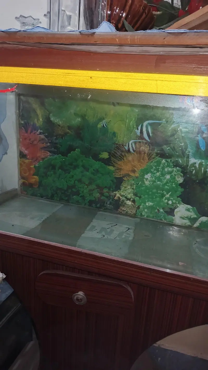 Aquarium All ok — photo 3