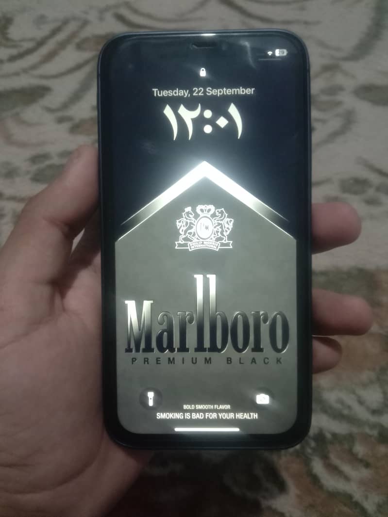 Apple iPhone XR 5