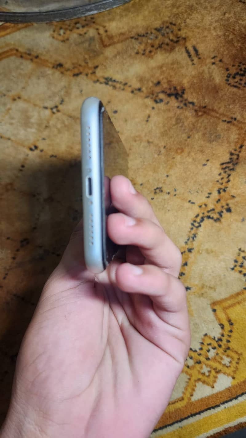 Apple iPhone 11 0