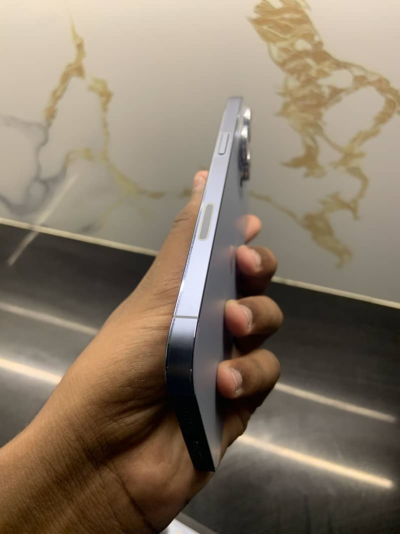 Apple iPhone 13 Pro Max 1