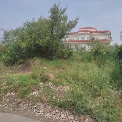 EAST SERVICE ROAD PLOT AT INVESTOR PRICE