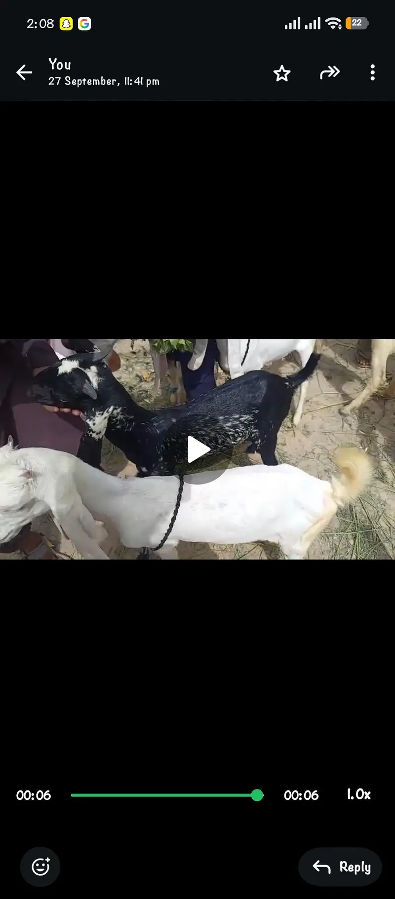 Makki Chini Bakra | Gulabi Bakri | Jori hy — photo 3