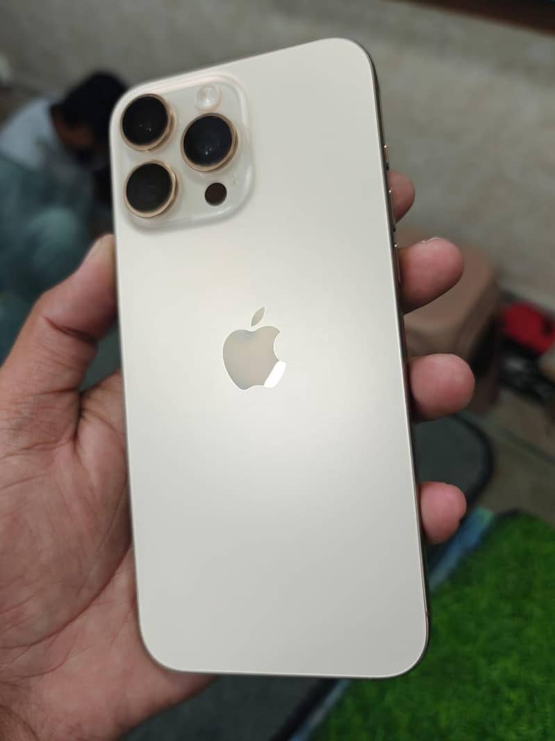 Apple iPhone 16 Pro Max 1