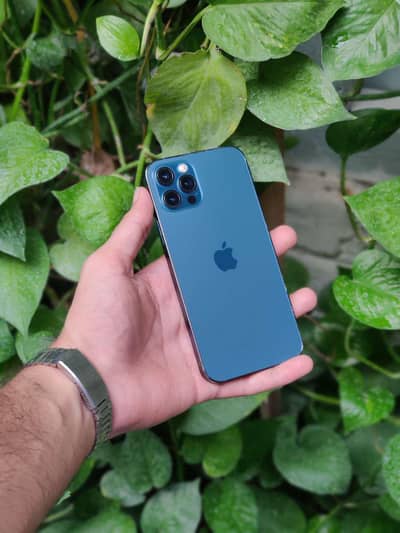 iphone 12 pro