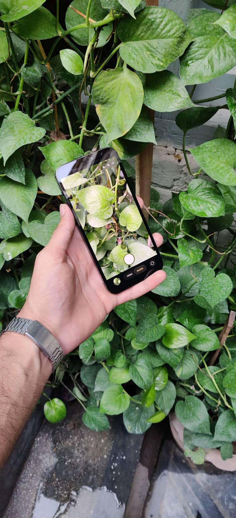 iphone 12 pro 1