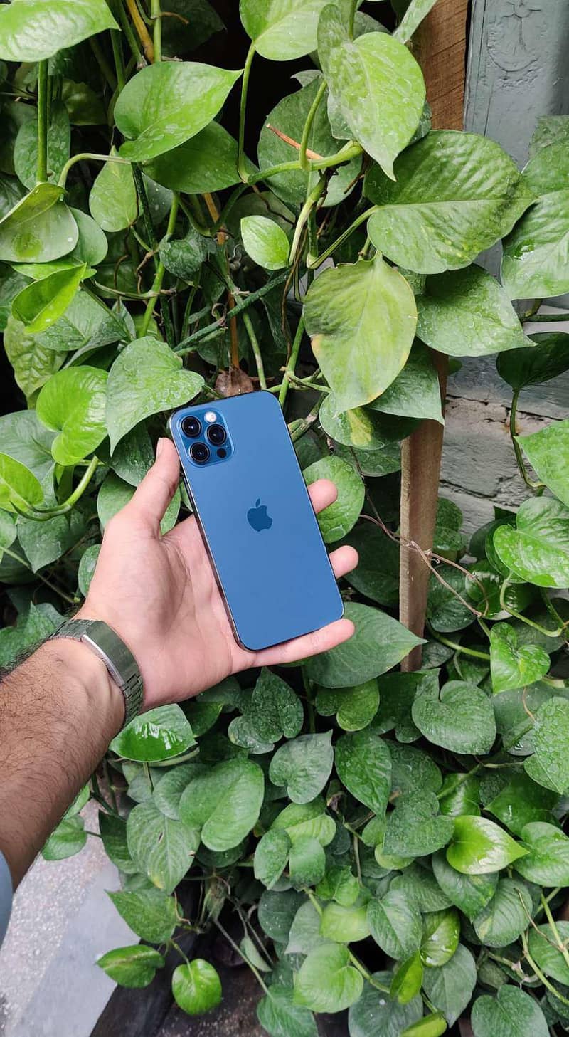 iphone 12 pro 2
